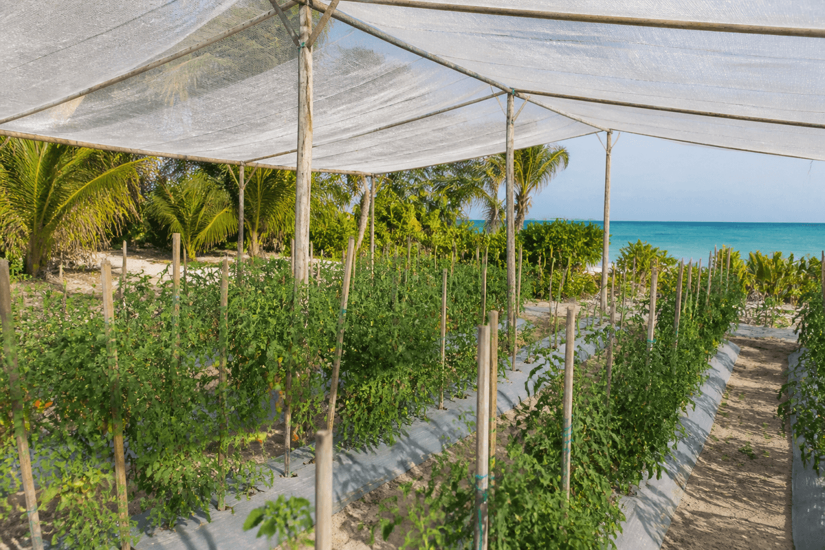 [DEMO] Kulhudhuffushi Plots