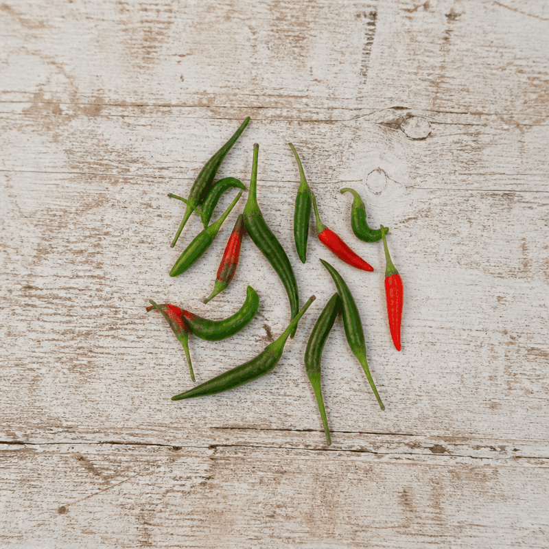 Chilli