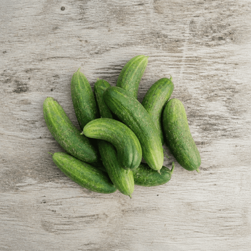 Cucumber